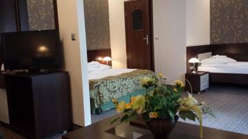 Фото номера Большой семейный номер Отель Hotel Atena г. Слупск 5